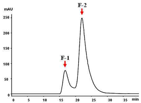 FPLC 분석을 이용한 PA3529 단백질의 구조특성분석