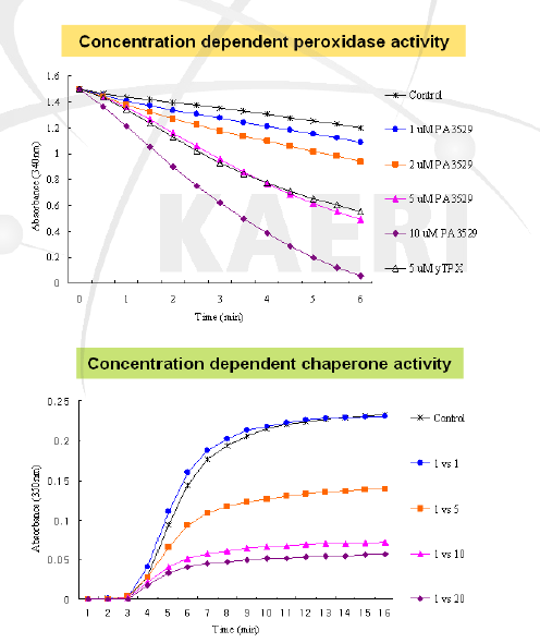 PA3529 단백질의 효소적 특성: Chaperone과 peroxidase 활성