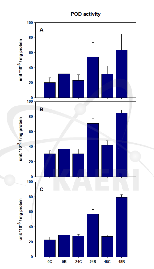 애기장대의 POD 활성 변화. A, Wild type ; B, NPQ 1-2 ; C, NPQ 4