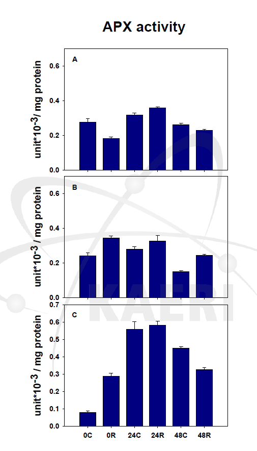 애기장대의 APX 활성 변화. A, Wild type ; B, NPQ 1-2 ; C, NPQ 4