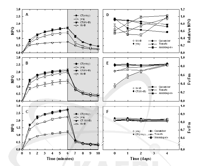 감마선과 UV-B에 대한 식물 종들의 비 광화학적 형광소멸지수 NPQ (non-photochemical quenching)와 광계II의 최대 양자수율 Fv/Fm (maximum photochemical efficiency of PSII)변화 A, 오이; B, 토마토; C, 애기장대 (wild type)