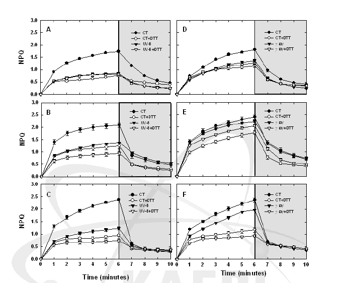 DTT 처리 후 감마선과 UV-B에 대한 control 과 조사구 변화 A 와 D, 오이; B 와 E, 토마토; C와 F, 애기장대 (wild type)