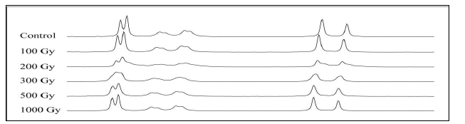 방사선 조사 후 DAB의 NMR spectra