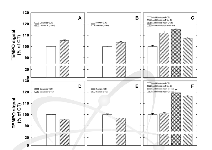 감마선과 UV-B 조사 후 오이, 토마토, Arabidopsis (wild-type, npq1-2)들의 TEMPO를 이용한 ESR 분석