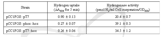 Hydrogenase uptake 및 활성 측정