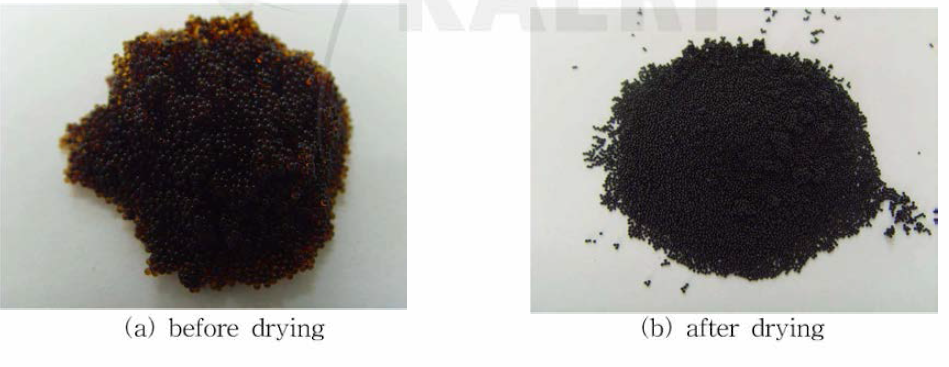 Photographs of granular-type spent resins before and after drying