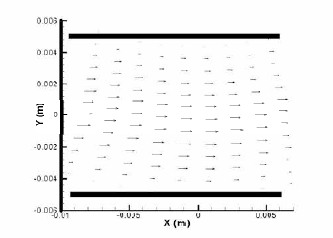 Echo PIV에 의한 층류유동 Instantaneous velocity vector