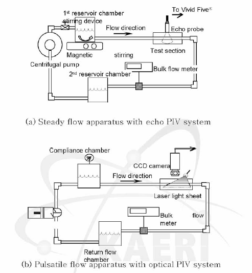 Steady와 pulsatile flow systems 개략도