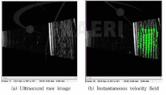 Echo PIV로 즉정 한 Instantaneous velocity vectors