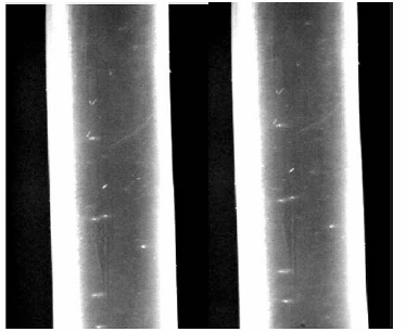 Tube flow의 optical image