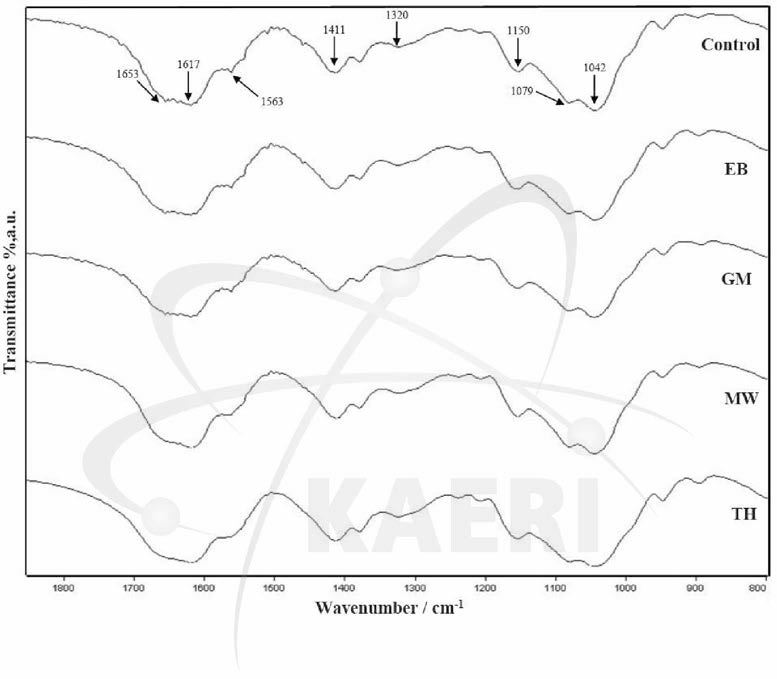 FT-IR spectrum of low molecular weight hyaluronic acid (HA)