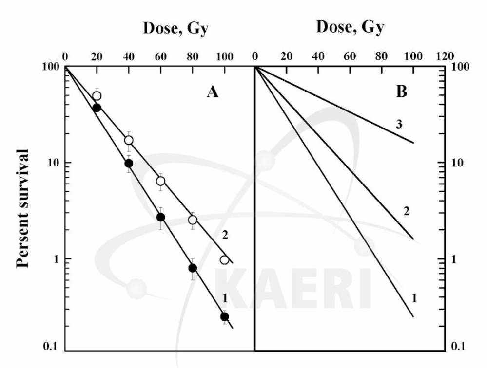 Survival of Escherichia coli Bs-i after 60C〇 y-irradiation： A without (curve 1) and with (curve 2) maximum photoreactivation； B - without photoreactivation induced by both ionizations and UV light damage (curve 1)， only by ionizations (curve 2) and UV light damage (curve 3)