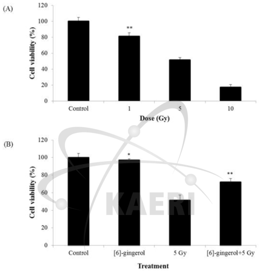 Radiation-induced cell cytotoxicity (A) and radioprotective effect of [6]-gingerol (B) in HepG2 cells. Cells were incubated for 3 days after irradiation. Data are represented as mean±SD. (n=3). *p<0.05, **p<0.01 compared with those of the control group