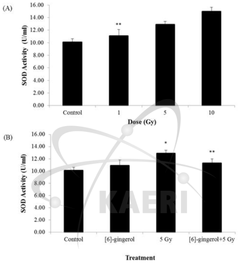 Radiation-induced SOD activity change (A) and radioprotective effect of [6]-gingerol (B) in HepG2 cells. Data are represented as mean±SD . (n=3). *p<0.05, **p<0.01 compared with those of the control group