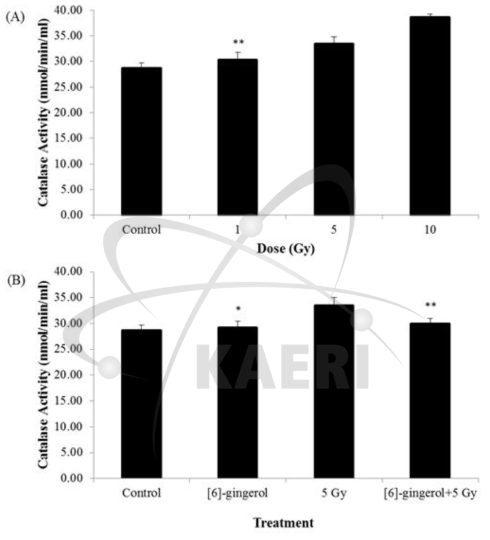 Radiation-induced CAT activity change (A) and radioprotective effect of [6]-gingerol (B) in HepG2 cells. Data are represented as mean±SD . (n=3). *p<0.05, **p<0.01 compared with those of the control group