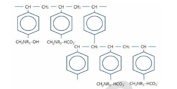 C-14을 함유하는 중탄산이온(HCO3 -) 이온교환하여 보유하고 있는 음이온교환수지의 구조