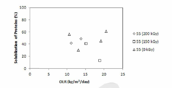 복합소화공정에서 감마선조사에 의한 축산폐수/음식물폐기물 복합폐수내 단백질의 solublization (고온소화조)