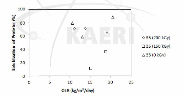 복합소화공정에서 감마선조사에 의한 축산폐수/음식물폐기 물 복합폐수내 단백질의 solublization (중온소화조)