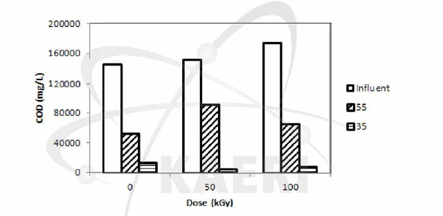 감마선조사에 의한 복합폐수 유입수의 solublization (COD)