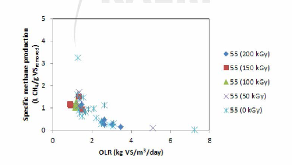 유기물 유입부하 (VS)에 따른 하수슬러지/음식물폐기물 복합 소화공정 에서의 비메 탄발생 량 변화 (고온소화조)