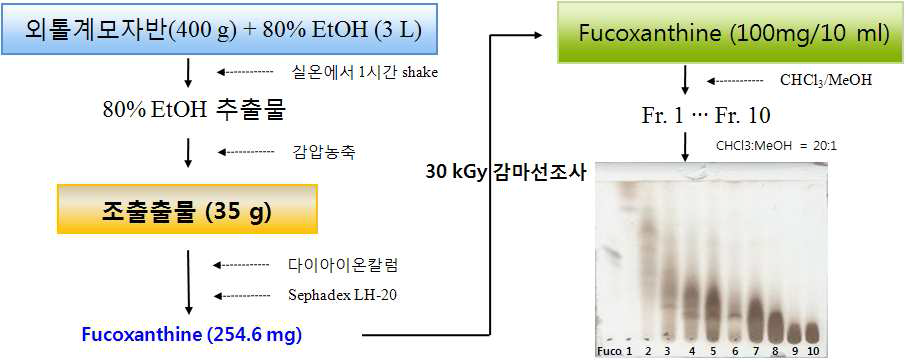 외톨계모자반으로부터 fucoxanthin 분리다이어그램.