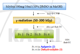 Silybin을 300 kGy 조사한 샘플의 주요화합물 분리다이어그램.