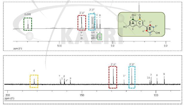 Silybin에서 방사선 조사되어 얻어진 apigenin (4-1)의 1H, 13C-NMR.