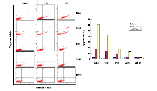 암세포주 apoptosis에 외톨개 모자반 추출물(ME)이 미치는 영향
