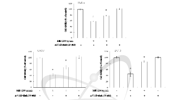 외톨개 모자반 추출물에 의한 세포사멸에 caspase inhibitor가 미치는 영향