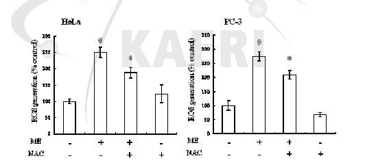 HeLa와 PC-3 암세포에서 모자반 추출물에 의한 intrcellular ROS 생성에 대한 NAC의 효과