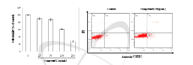 HeLa 암세포에서 모자반 추출물에서 분리한 compound 1의 세포독성 및 apoptosis에 대한 효과