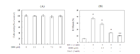 HepG2 세포에서 DHS의 세포 독성 및 SIN-1에 의해 생성된 intrcellular ROS소거 활성