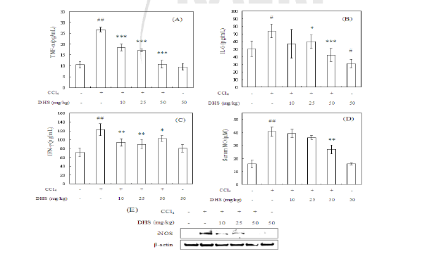 CCl4 투여된 Sprague-Dawley Rat에서 염증 반응에 DHS가 미치는 영향