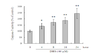 SW620 대장암세포에서 DHS의 caspase-3 활성에 대한 효과
