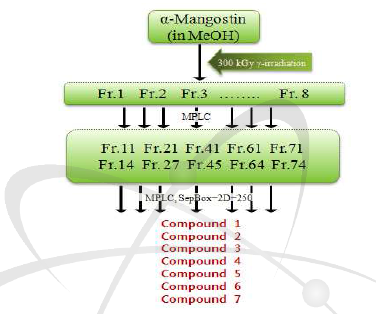 방사선 조사한 α-mangostin에서 분리 된 활성물질