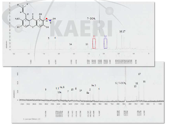 1H,13C-NMR spectrum of new compound 1