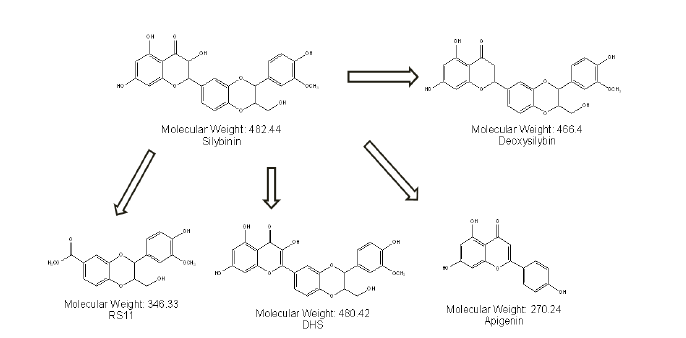 Silybinin의 radio similar 구조분석 결과