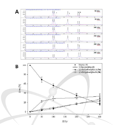 HPLC profiles of silybin 1, 3-deoxysilybin 2, and 2,3-dehydrosilybin 3 at different g-irradiation (0, 50, 100, 200, and 300 kGy). (A) The HPLC chromatogram was detected at 280 nm UV. Peaks (1): silybin, Peaks (2): 3-deoxysilybin, Peaks (3a): 2,3-dehydrosilybin A, Peaks (3b): 2,3-dehydrosilybin B. (B) Kinetic analysis of the conversion of silybin 1 to 3-deoxysilybin 2, 2,3-dehydrosilybin A (3a) and 2,3-dehydrosilybin B (3b).