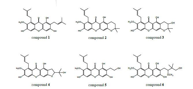 Structures and HMBC correlation of compounds 1-6