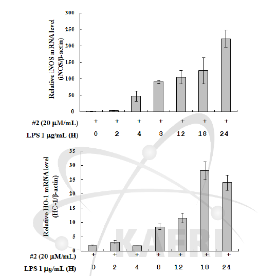 Effect of compoud 2 on iNOS and HO-1 mRNA expression in LPS-induced RAW264.7 cells