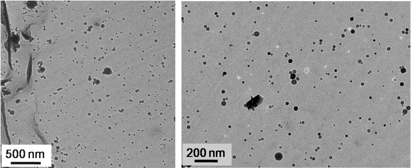 Circular particles of Y-Ti-O, diameters are at around 30 nm.