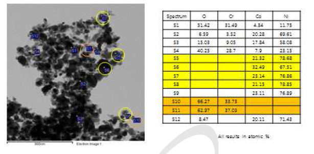 합성된 NiCoCr 분말의 TEM 사진과 EDS 분석