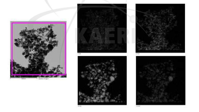 합성된 NiCoCr 분말의 TEM Mapping