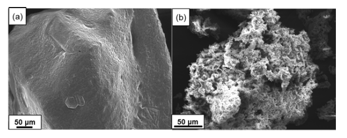 SEM morphologies of as-synthesized Ni precursors prepared (a)without PVA and (b) with PVA content of 4:1 ratio.