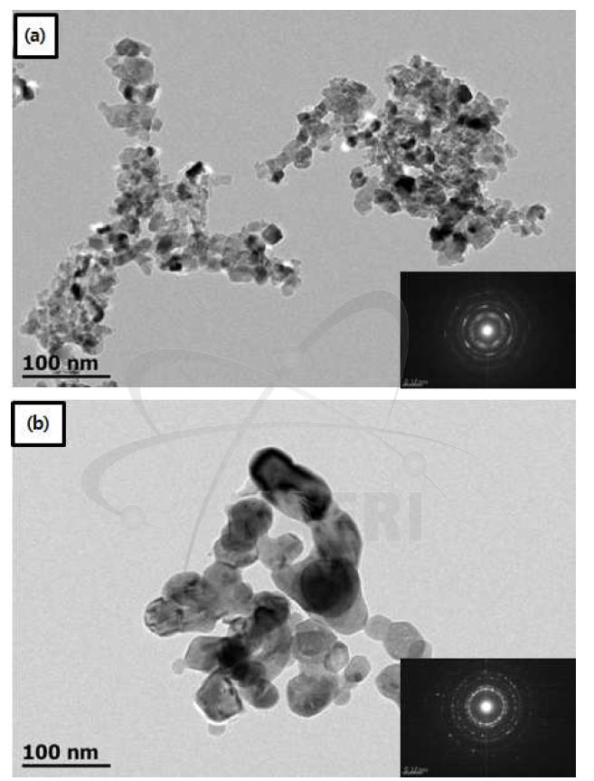 TEM morphologies of as-synthesized (a) NiCo and (b) NiCo-YPowders