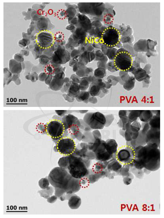 TEM/EDS results of as-synthesized NiCoCr(54:12.5:22) powders calcined at 600°C for 1h