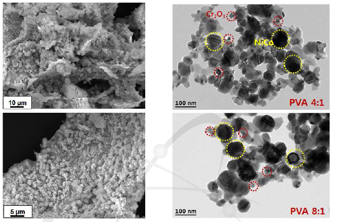 SEM and TEM morphologies of the as-synthesized powders calcined at 600°C for 1h prepared using different PVA contents