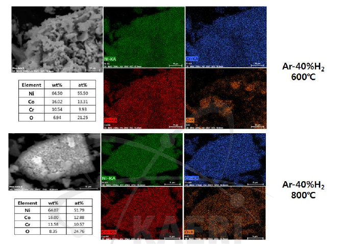 SEM / EDS Mapping of the as-synthesized powders calcined at 600°C and 800°C for 1h under Ar-40%H2.