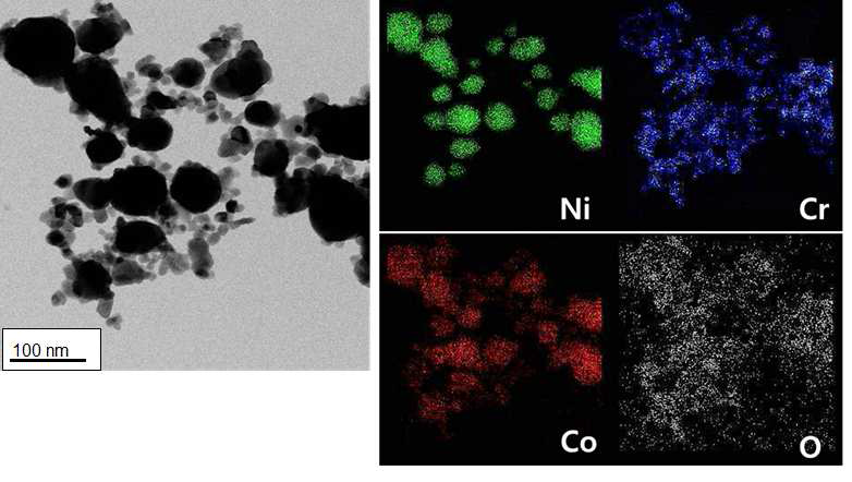 TEM morphologies and EDS mapping of the as-synthesized powders calcined at 600°C for 1h under Ar-40%H2