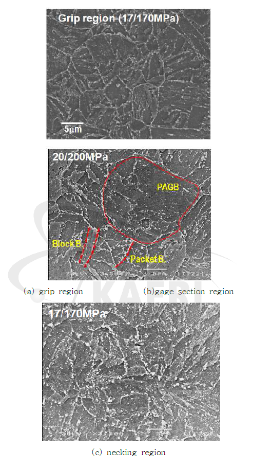 Precipitates generated by cyclic creep tests; (a) grip region, (b) gage section region, and (c) necking region